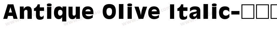 Antique Olive Italic字体转换